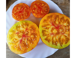 Гном Конфетти (Dwarf Confetti)