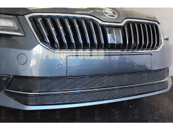 Защита радиатора Skoda Superb 2015- (2 части) black PREMIUM