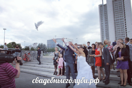 Заказать голубей на свадьбу на свадебныеголуби.рф
