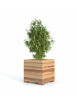 кашпо Бамбук 01