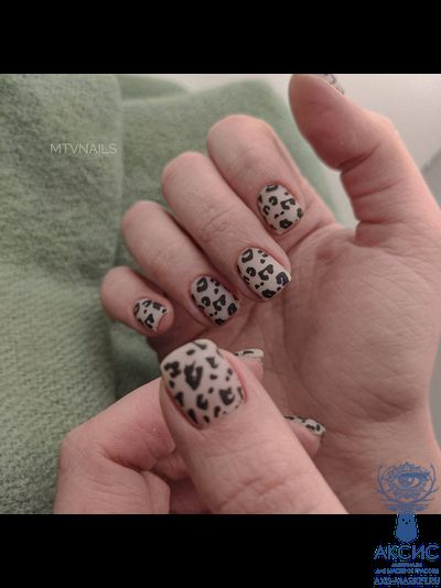 Пластина Swanky Stamping 021