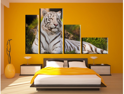 Модульная картина "Белый тигр"