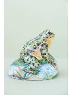 Лягушка на камушке