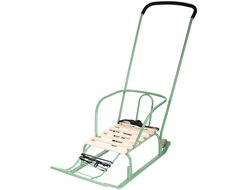 Продажа детских зимних саней Team 2.0 (Green) в Иркутске по низким ценам