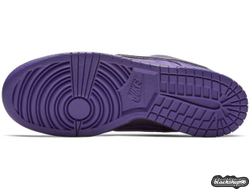 Nike SB Dunk Low Purple (40-45)
