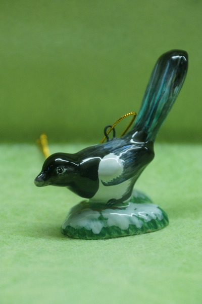 Сорока - Птицы России