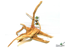 Коряга ПУСТЫННАЯ S (10-30см)