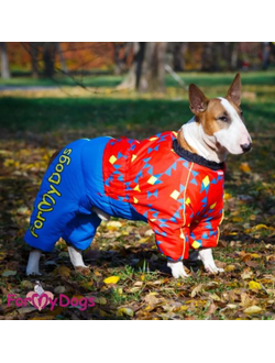 Комбинезон красно-синий