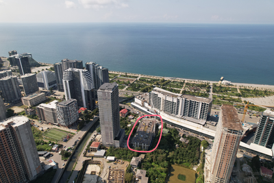 Real Palace BLUE фото