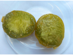 Томат Зеленая тайна мистера Граба (Grubs mysteri green) Австралия,