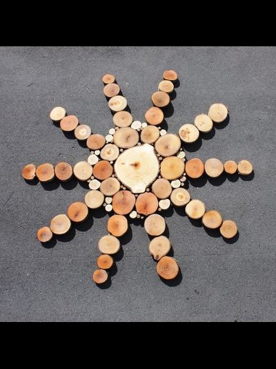 панно из спилов спилы дерева в интерьере, декоративные спилы дерева, кружок деревянный, spilcenter
