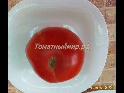 Томат Мегамутт (Megamutt , США)