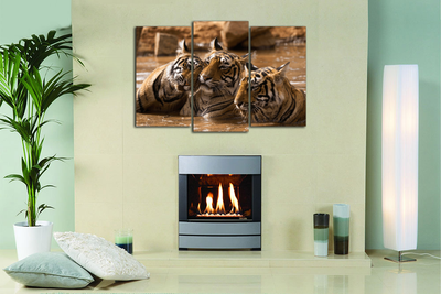 Модульная картина "Тигры в воде"