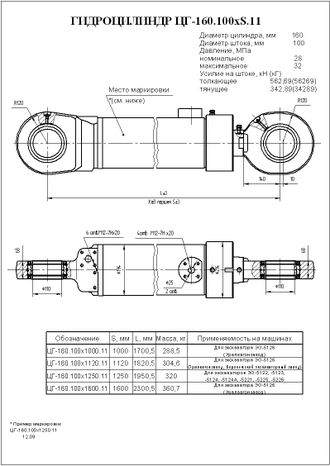 Гидроцилиндр ковша (с подш.) ЦГ-160.100х1000.11 (5126 29-06-000)