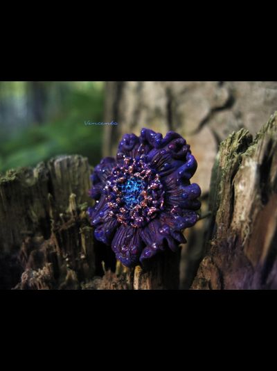 Волшебное кольцо "Пыльца Фей" из коллекции необычных украшений с цветами