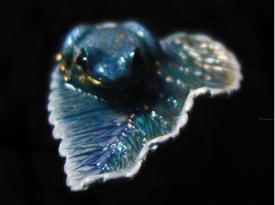 Фэнтези-кольцо с волшебной лягушкой "Пролетая над гнездом чудесниц..."