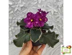 ВаТ-Калейдоскоп (Т. Валькова) 2015 г.