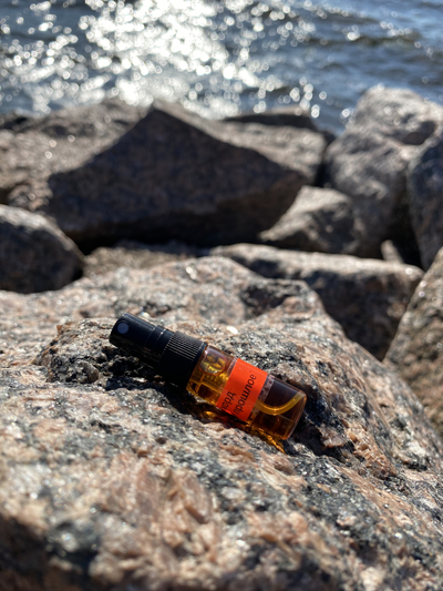 Духи АККОРД: ТЁМНОЕ ПРОШЛОЕ 3,5 мл