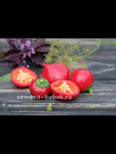 Перец Сладкий Диана (Diana), 10 шт