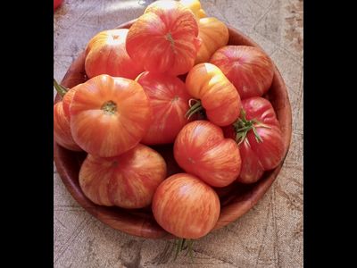 Томат Джаз восхода (Sunrise Jazz, Джаз на Восходе)