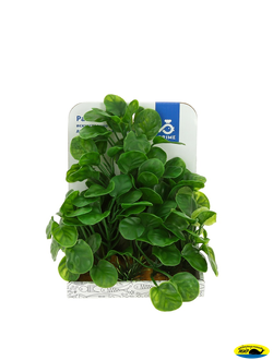 60106-PR Растения пласт. Гидрокотила 15см.PR