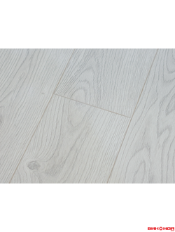 Сосна Снежная