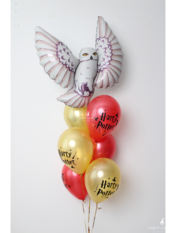 Букля из Гарри Поттер