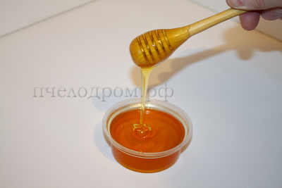 Мёд ЛЕСНОЙ (ПОЛЕВЫЕ И ЛЕСНЫЕ ДИКОРАСТУЩИЕ МЕДОНОСЫ (разнотравье)), 1 кг.