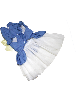 Платье джинсовое для собаки Бант