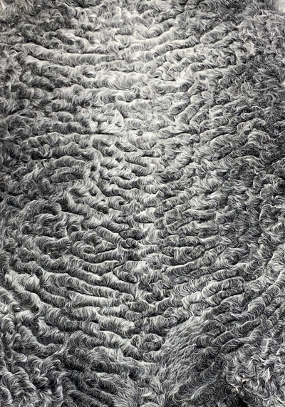 Каракуль Серый Отборный