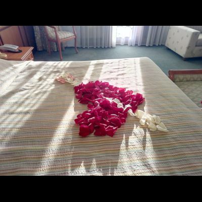 Оформление номера лепестками роз № 1492