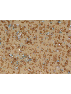 ACCZENT MINERAL AS 1000 11