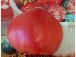 Томат Гном Розовая страсть (Dwarf Pink Passion)
