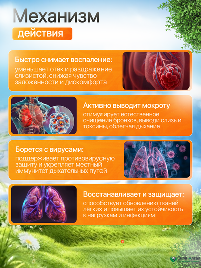 Нейробронхус с исландским мхом и восковой молью