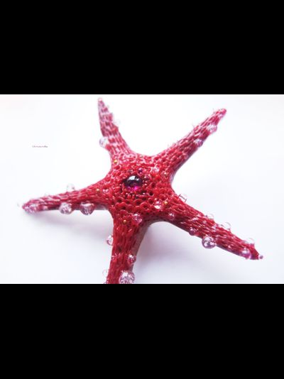 Морская брошь "Звезда ундины"