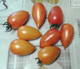 Семена томата Сладкий крем от интернет-магазина УралТомат