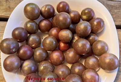 Томат Черная вишня (Black Cherry)