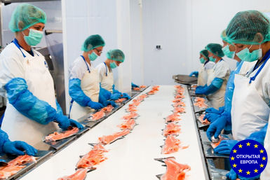 Работа сотрудником на предприятие BG Production в Польше фото