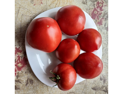 Томат Тайные сокровища вечности (Hidden Treasures of A Timeless)