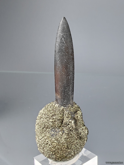 Пирит на белемните. КЧР. Россия. 60*22*21мм