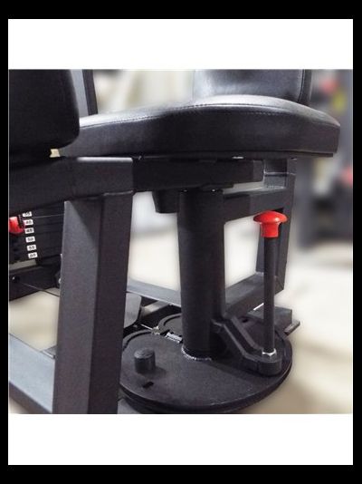 Торс машина 60 кг AV221/80