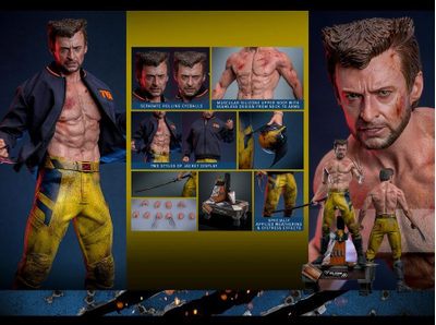 Росомаха, Логан ("Дэдпул и Росомаха") - Коллекционная фигурка 1/6 Wolverine (TVA Jacket) (MMS756) - Hot Toys