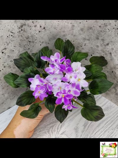 LV-Кирюша (Л. Шевелева) 2022 г. трейлер (пасынок посажен 15.08.25)