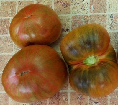 Томат Кровавая Луна (Blood Moon, США)