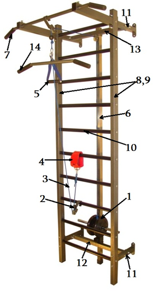 Тренажер PRO-T на свободных весах (реабилитация по системе БУБНОВСКОГО)