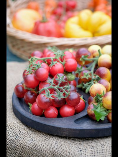 Томат Маленький Красный Корвет (Little Red Corvete), 10 шт