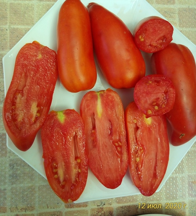 Томат Сибирский казак