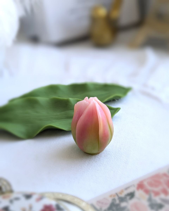 Тюльпан Мэй (бутон)