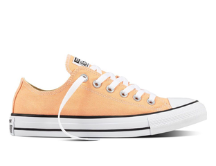 Converse Chuck Taylor All Star 155573