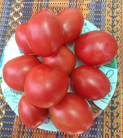 Томат Сызранская пипочка (условное)